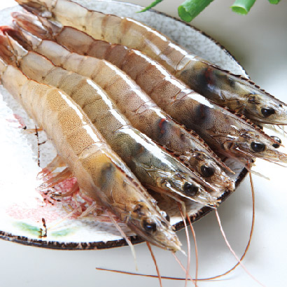 白蝦(大) 每盒500g