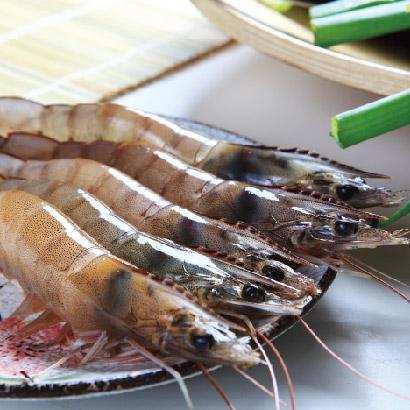 白蝦(中) 每盒500g